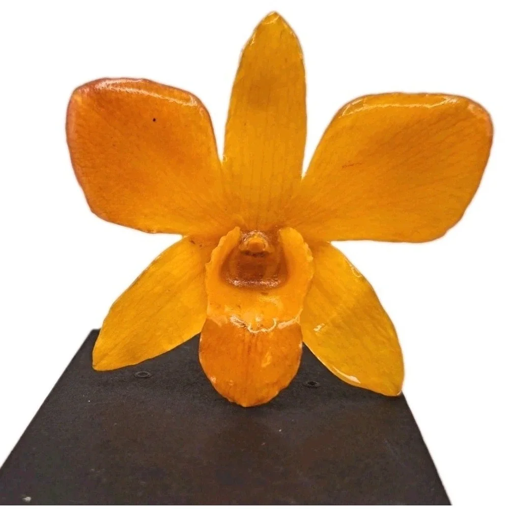 VTG Yellow Orange Orchid  Natural Flower Hat Lapel Pin Resin Beautiful!
